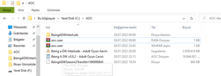 Ekran görüntüsü 2022-07-29 001049.png