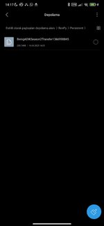 Screenshot_2025-04-16-14-17-43-712_com.mi.android.globalFileexplorer.jpg