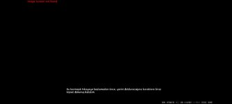 Screenshot_2025-10-26-22-34-35-145_palecarnations.adultoyunceviri.com.jpg