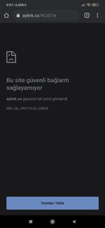 Screenshot_2021-01-03-00-01-57-256_com.android.chrome.jpg