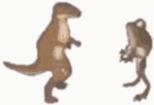 tenor (4).gif