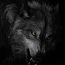 DarkWolf_