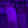 Youjin